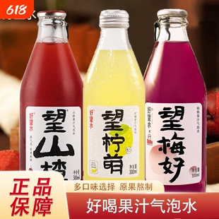 好望水望山楂柠檬杨梅果汁气泡水碳酸饮料解腻果味饮料