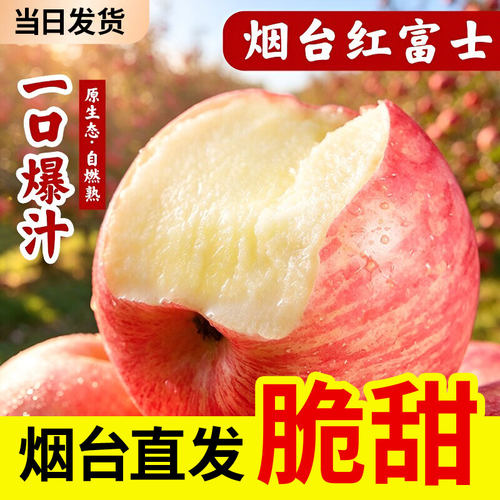 正宗山东烟台红富士苹果礼盒装脆甜当季新鲜水果冰糖心黄金精选