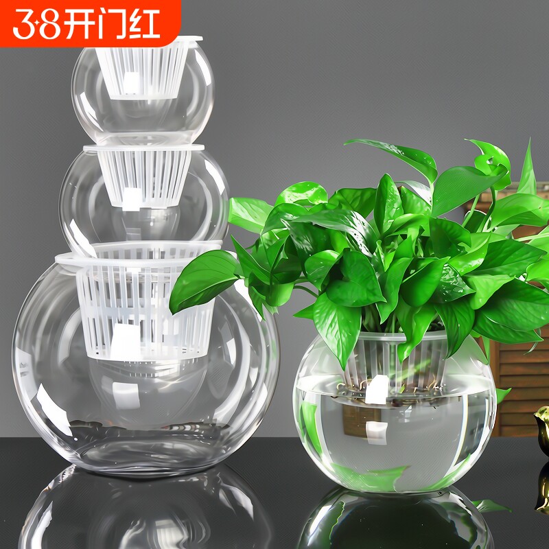 创意水培瓶植物透明玻璃花瓶花盆共养缸水养摆件器皿桌面极简吸水 - 淘宝联盟商品