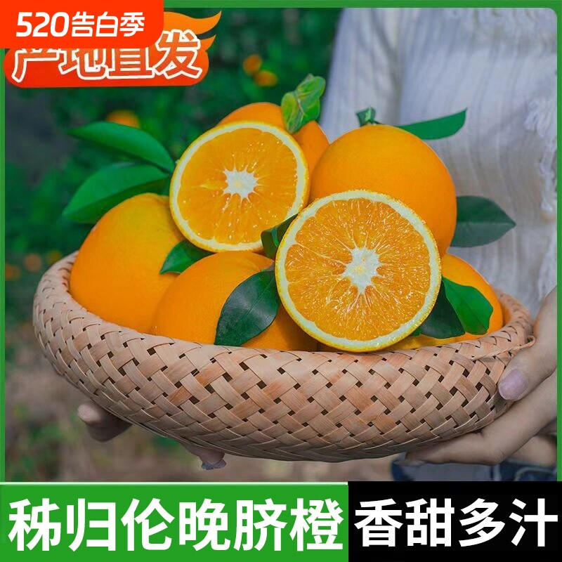 正宗秭归脐橙新鲜橙子10斤应当季水果现摘脐橙果冻橙冰糖甜橙包邮