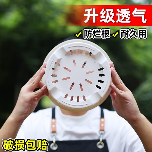 简约塑料米白色加仑盆