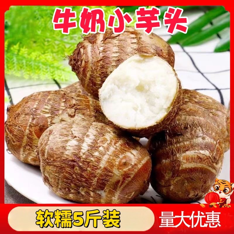 新品牛奶小芋头10斤整箱毛芋头现挖应季蔬菜香芋芋艿批发小芋头,水产肉类/新鲜蔬果/熟食,芋头,淘宝优惠券,粉丝福利购,淘宝优惠卷