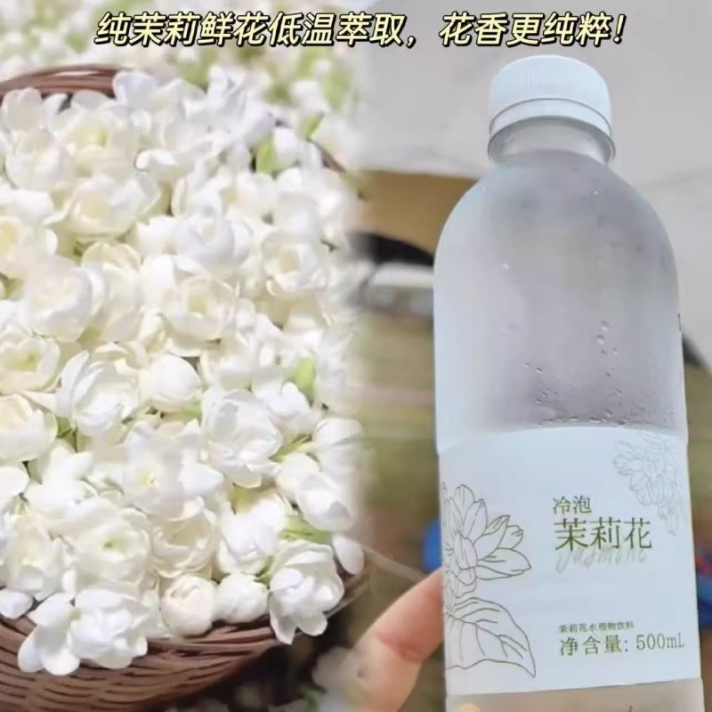冷泡茉莉花水夏天饮料白兰花广西横州0卡0香精0防腐茉莉鲜花冷萃