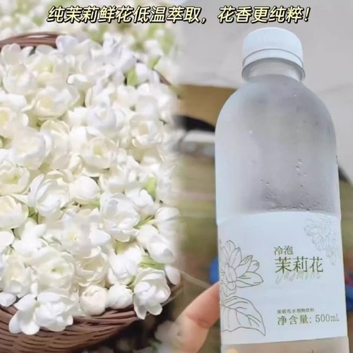 冷泡茉莉花水夏天饮料白兰花广西横州0卡0香精0防腐茉莉鲜花冷萃