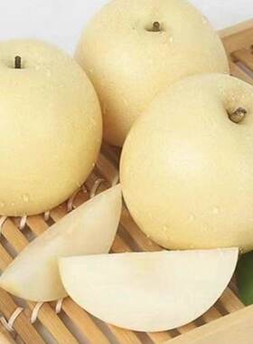 白皇冠梨新鲜水果当季脆甜现摘现甜脆多汁包邮雪梨止咳