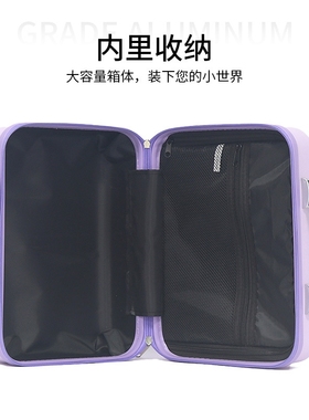 13寸紫色PP手提箱小型迷你化妆箱化妆品收纳旅行箱伴手礼手提箱