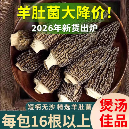 干货羊肚菌特产级云南新鲜羊肚菌头茬剪柄农家菌菇煲汤食材