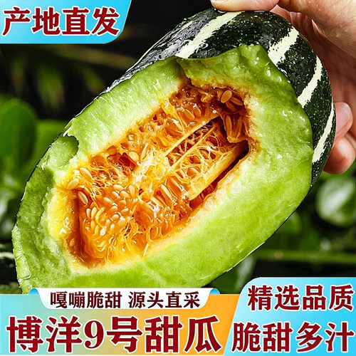 山东新鲜博洋9号甜瓜香瓜当季水果应季时令生鲜蜜瓜羊角蜜包邮