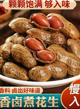 卤汁卤煮花生带壳五香盐水香辣花生米下酒菜零食夜宵烧烤啤酒A2