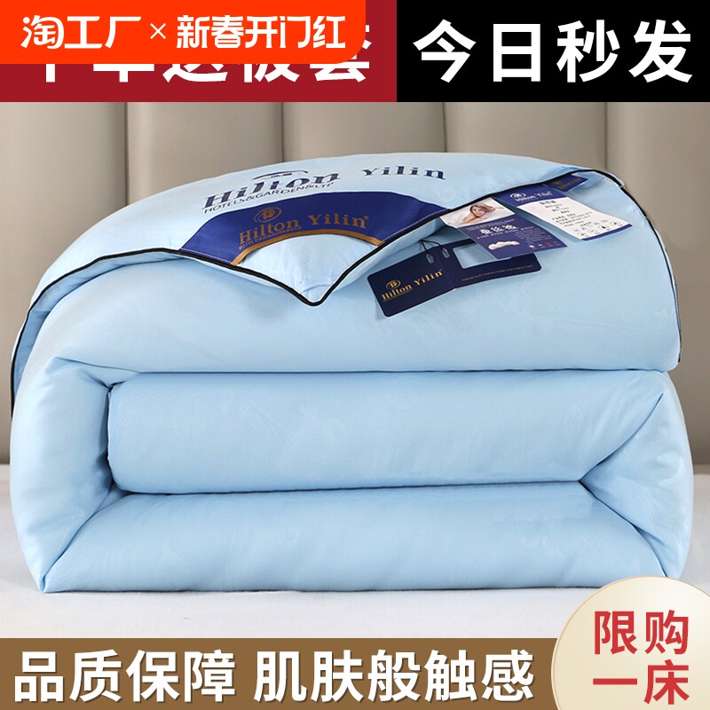 送被套蚕丝被100桑蚕丝春秋被子空调棉被单双人四季被加厚冬被芯