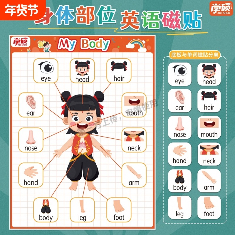 哪吒身体部位英语早教挂图英文单词图片body磁性贴儿童认知教具