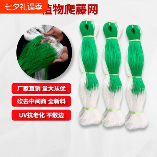 爬藤网植物攀爬山药豆角丝黄瓜