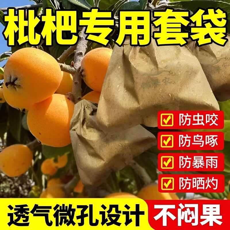 枇杷套袋专用水果防虫咬防鸟啄防暴雨纸袋苹果梨袋子柠檬芒果通用