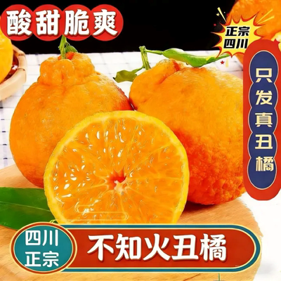 四川不知火丑橘水果新鲜时令当季桔子手拨柑橘非耙耙柑