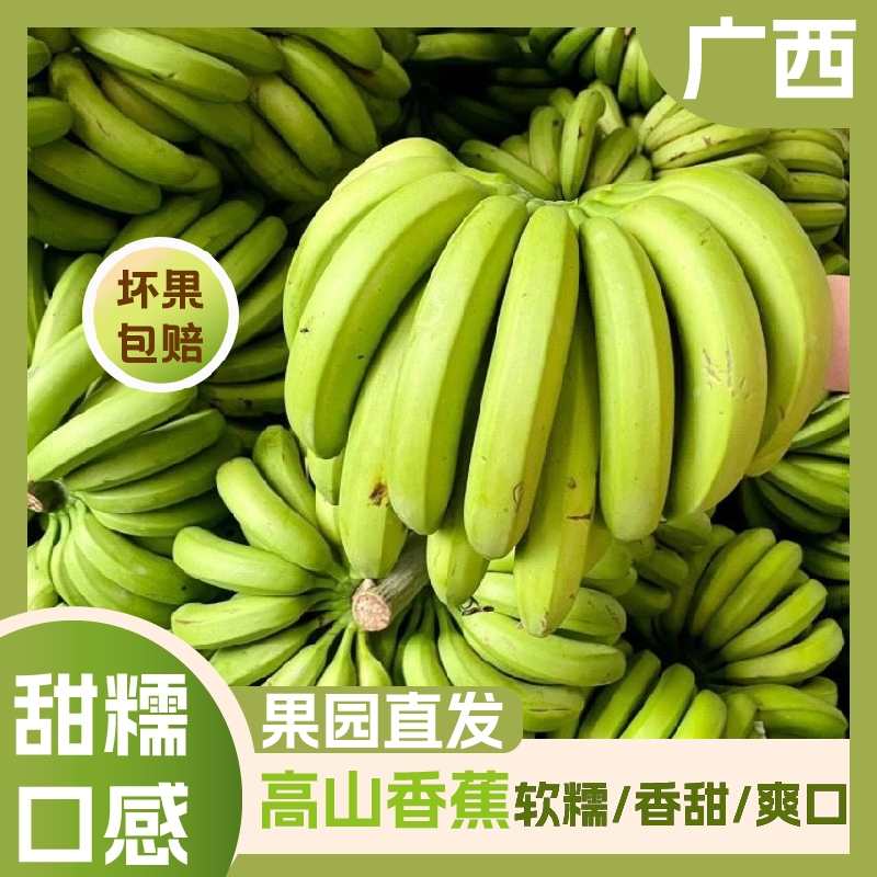 【正宗】广西高山香蕉自然熟山地水果现摘现发绿皮新鲜香甜软软糯