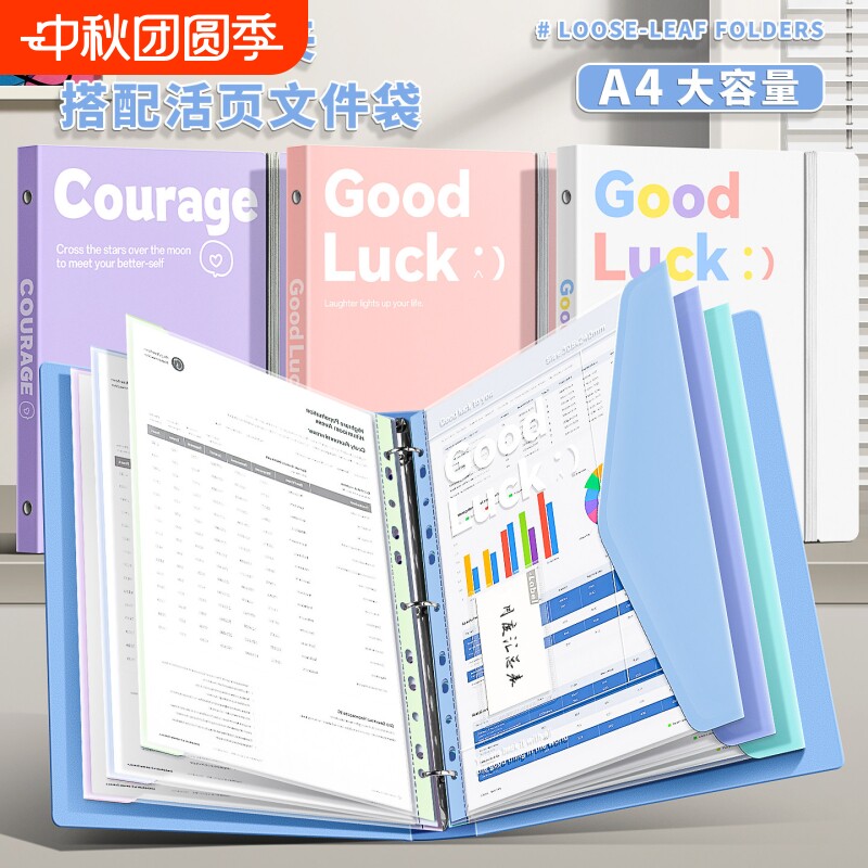 活页文件夹高颜值A4插页透明袋资料册试卷收纳检查收纳袋少女心学习资料整理资料夹孕检翻页收集册内置文件袋图片