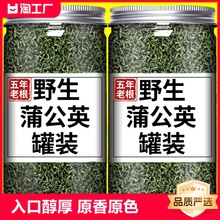 特级长白山蒲公英茶叶中药材糖尿人专用茶搭配金银花贡菊花茶清火