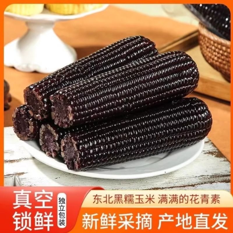 2025年东北黑糯玉米粘苞米新鲜真空包装甜玉米早餐加热即食