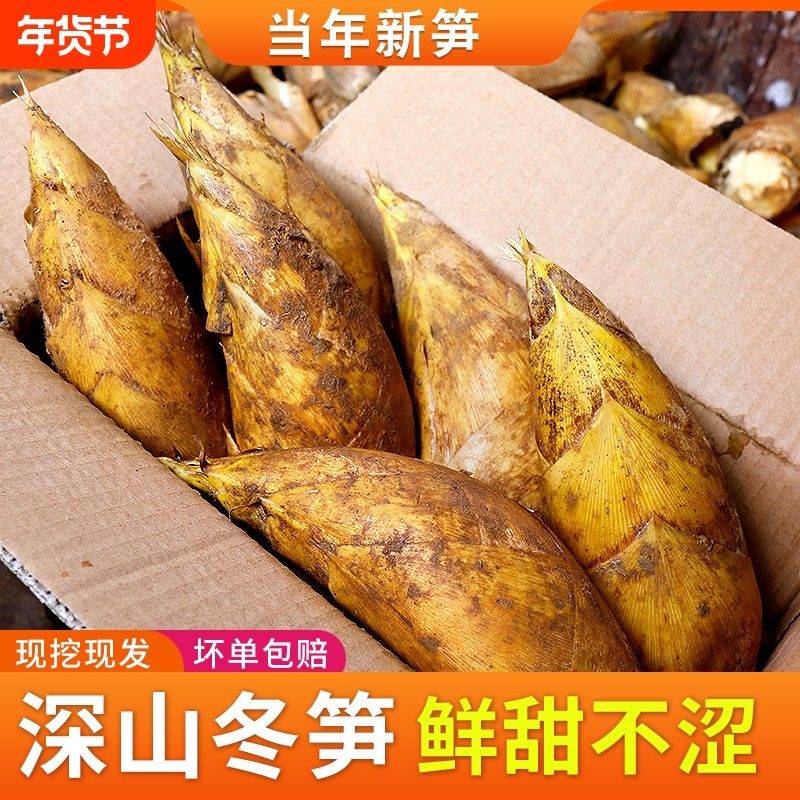 新鲜冬笋现挖黄泥笋福建农家高山野生带壳竹笋两头尖3斤5斤包邮
