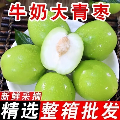 云南牛奶大青枣贵妃青枣当季现摘新鲜水果脆蜜枣新鲜枣苹果枣整箱
