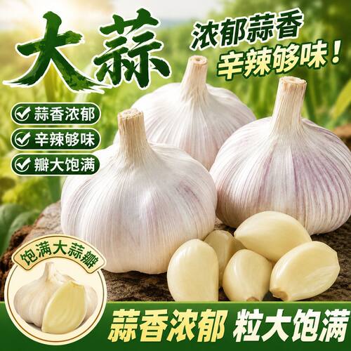 新干蒜瓣大蒜农家自种手工精选