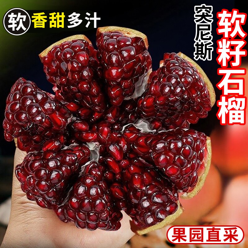 正宗四川会理突尼斯软籽石榴新鲜孕妇水果应当季产地直发现摘大果