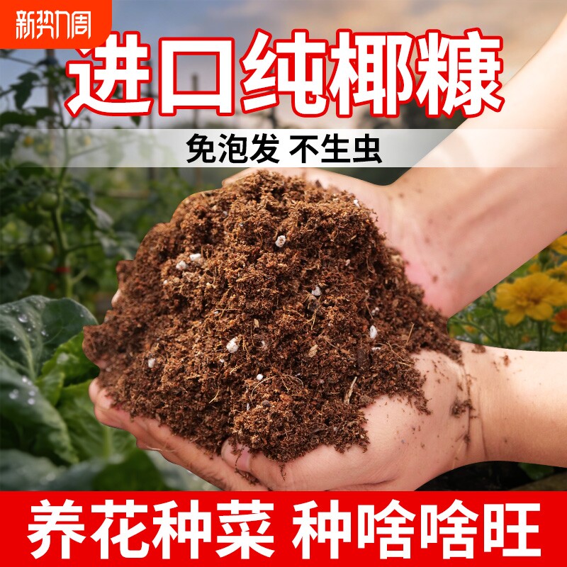 免泡椰糠营养土种花种菜基质土泥炭土椰砖爬宠专用包邮椰糠土疏松