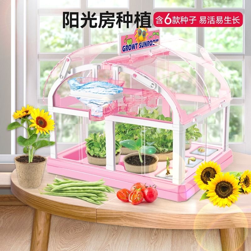 儿童阳光房种植花房种菜植物观察盒小学生玩具科学小实验套装生长