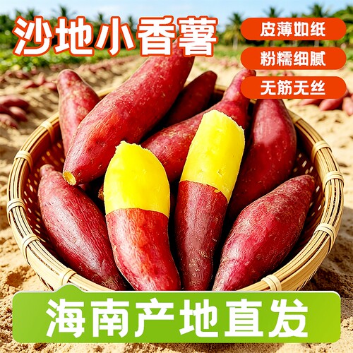现挖沙地蜜薯农家自种板栗红薯