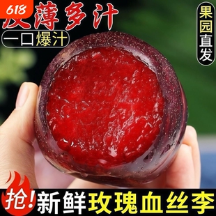玫瑰血丝李新鲜李子5斤大果应当季现摘红心李子黑布林红肉恐龙蛋
