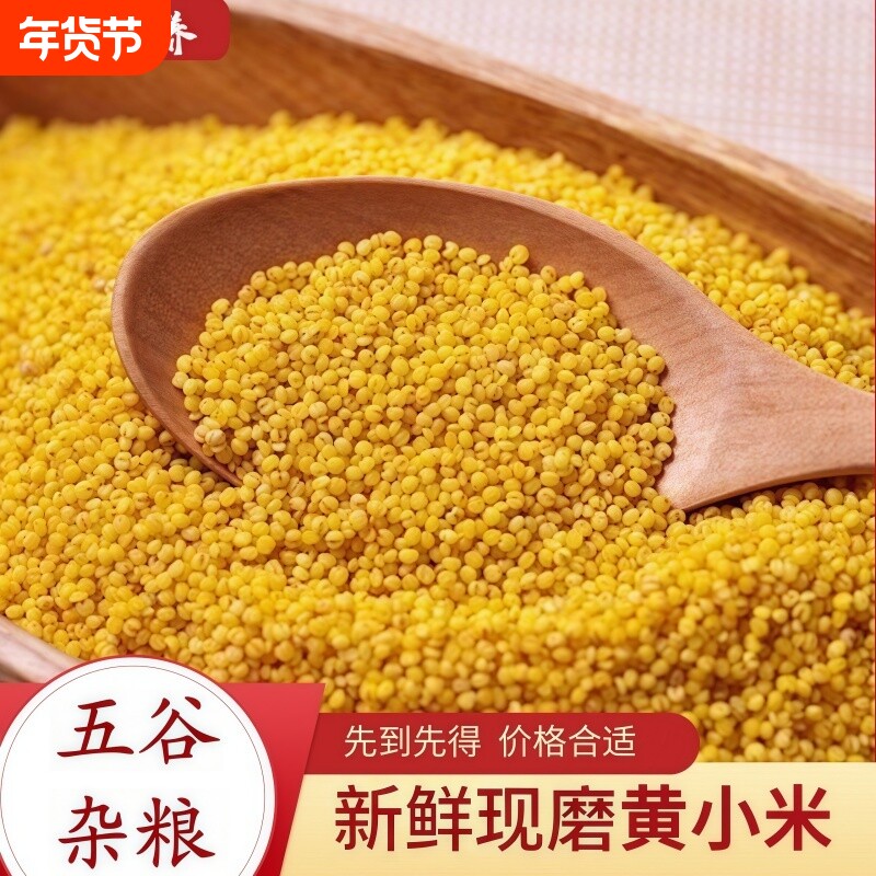 小黄米农家杂粮新鲜五谷杂粮油糯小米粥熬粥香稠粗粮当季年货节
