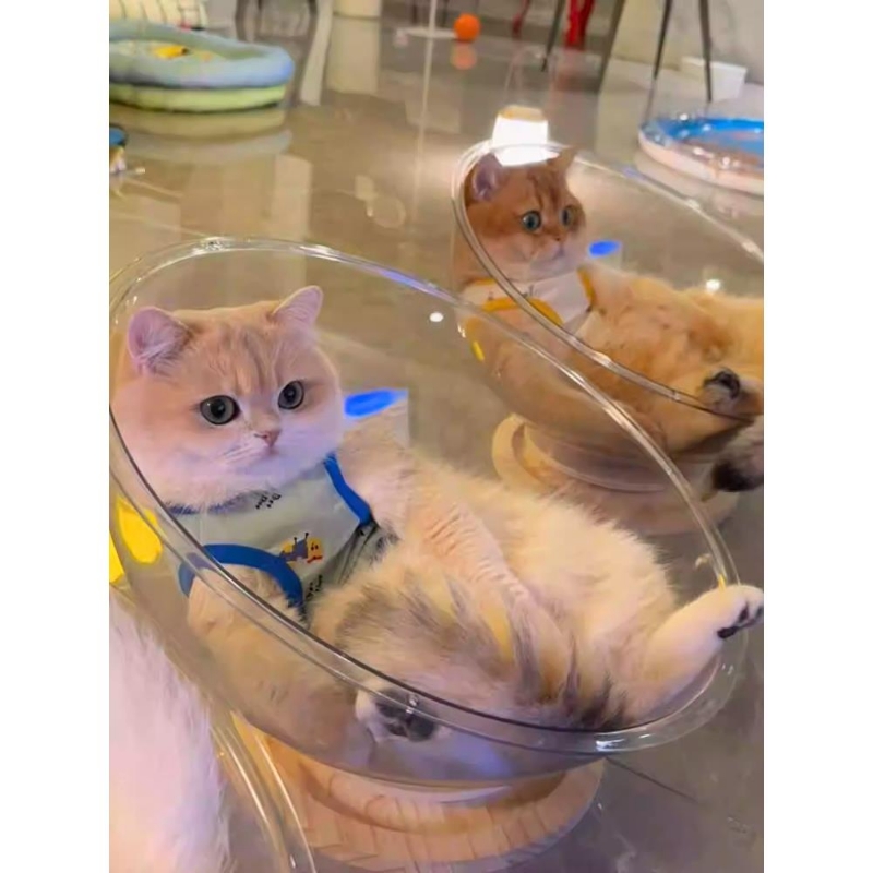 冬季保暖太空舱猫窝四季通用高透亚克力实木转盘猫咪玩具猫床一体