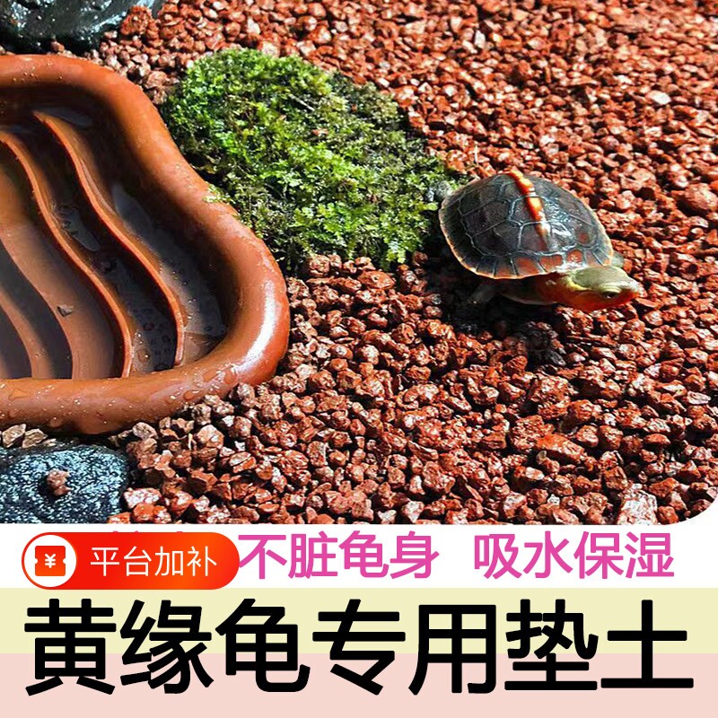 黄缘龟专用红砂土天然风化颗粒土养龟造景赤玉土垫材选择植物