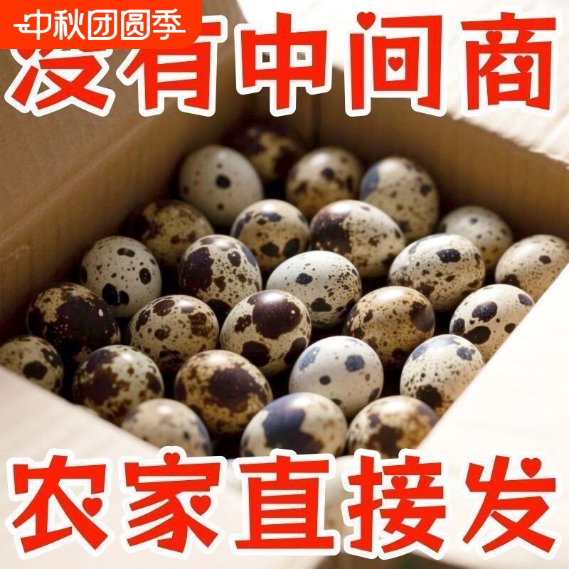 新鲜生鹌鹑蛋农家自产散养儿童营养辅食早餐生鲜蛋口感丰富细腻
