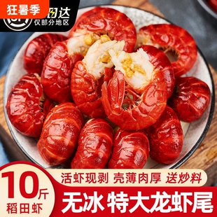 液氮龙虾尾特大号无冰鲜活冷冻生鲜新鲜虾球批发商用水产衣小龙虾