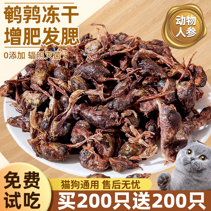 鹌鹑冻干动物界人参高蛋白低脂肪