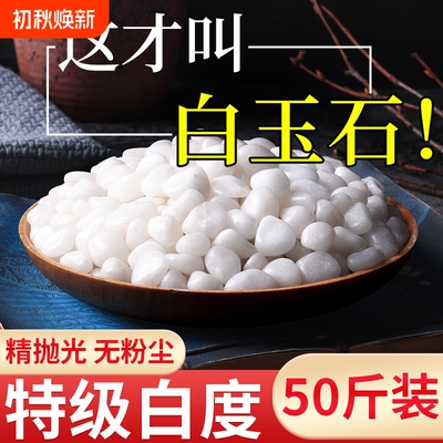 50斤装白石子造景庭院景观铺路铺地鹅卵石装饰白色砾石碎石小石头