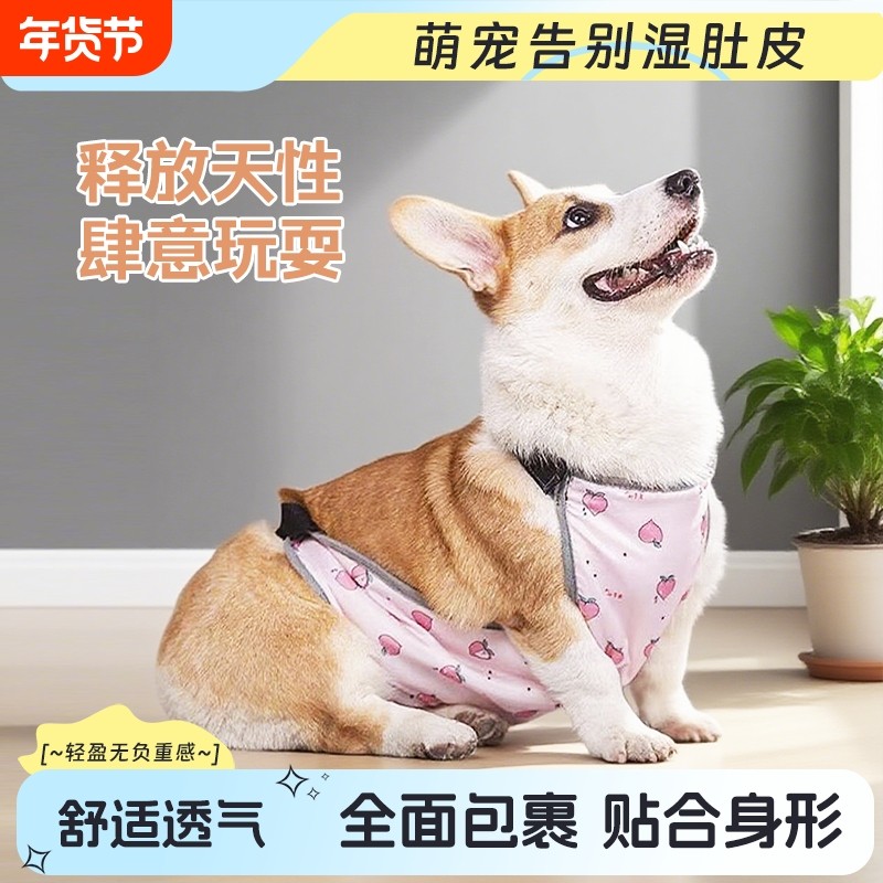 宠物狗狗防凉肚兜防水透气防脏保暖防着凉柯基衣服肚兜四季通用