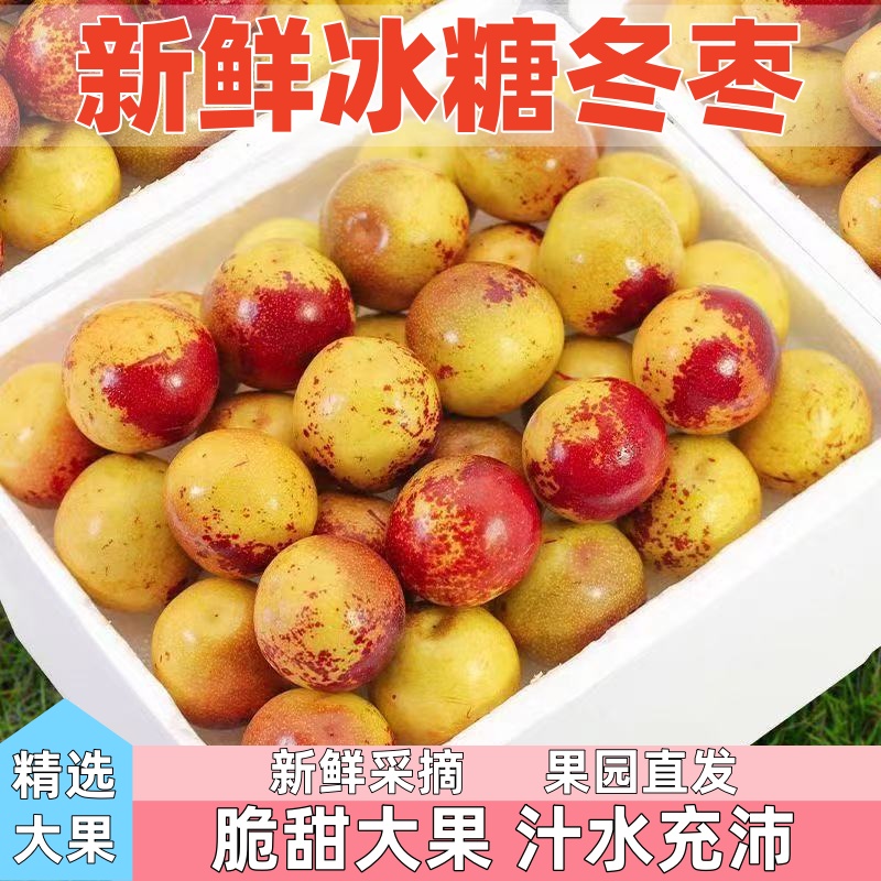 正宗冬枣脆甜新鲜大果应季整箱枣子现摘脆枣冰糖大枣5斤当季水果