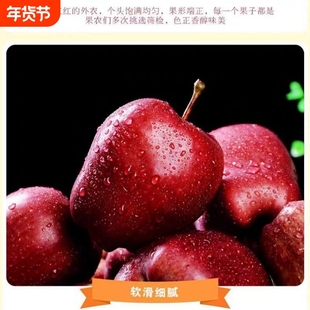 甘肃天水正宗花牛苹果新鲜当季水果偏远地区顺丰包邮专用链接