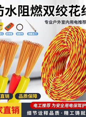 家用RVS花线2芯1/1.5/2.5平方电动车充电线LED灯头双绞电源线防冻