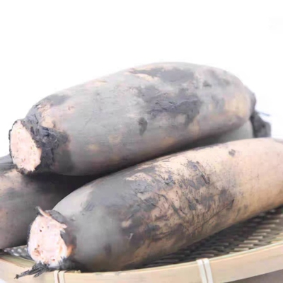 正宗粉面藕农家莲藕粉藕精选中段煲汤炖汤九孔藕现挖糖藕糯米藕