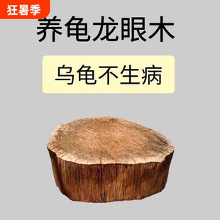 龙眼木乌龟晒台爬台晒背台龟缸造景天然躲避养龟专用垫脚歇脚桌面