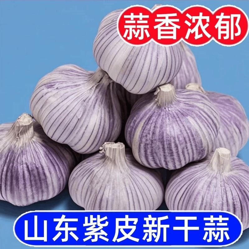 【干蒜味浓】2025年干大蒜正宗新干蒜紫白皮大蒜新鲜蔬菜整箱批发,水产肉类/新鲜蔬果/熟食,大蒜,淘宝优惠券,粉丝福利购,淘宝优惠卷