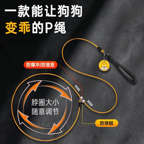 狗狗牵引绳防爆冲p绳小狗项圈狗链p链大型犬遛狗p字绳小型犬狗绳