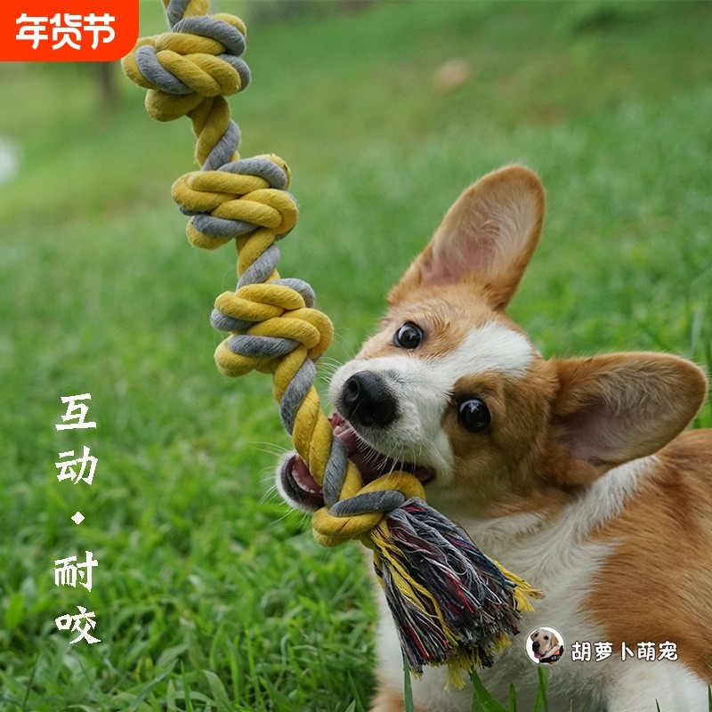 宠物棉绳玩具幼犬拉布拉多泰迪柯基互动耐咬绳结咬胶洁齿狗磨牙棒,宠物/宠物食品及用品,磨牙洁齿玩具/绳结玩具,淘宝优惠券,粉丝福利购,淘宝优惠卷