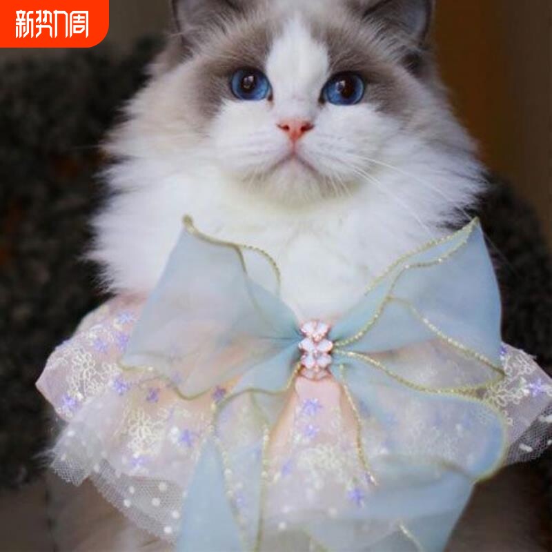 猫咪围脖狗狗宠物饰品项圈铃铛蝴蝶结领结蕾丝针织口水巾围嘴项链