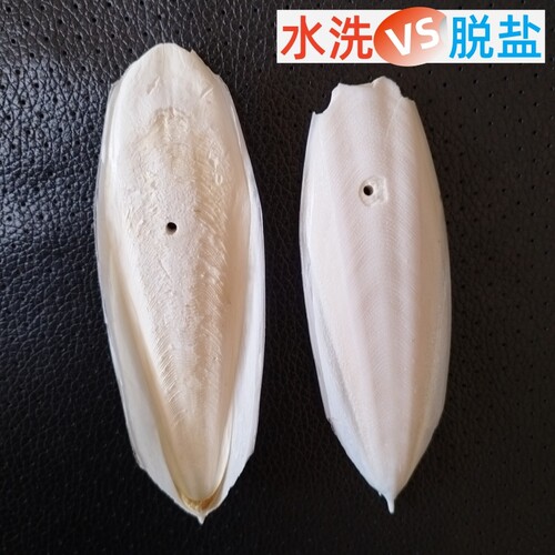 水洗墨鱼骨原料打孔鹦鹉类啃咬用品爬宠类磨牙磨嘴纯天然乌贼骨新