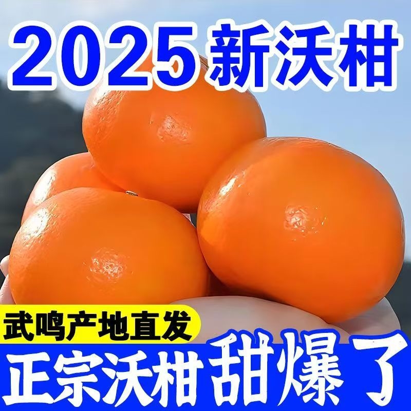 正宗广西武鸣沃柑新鲜水果当季现摘桔子皇帝蜜柑橘砂糖丑柑产地货