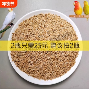 新货加纳利子鹦鹉鸟食油尖粟白尖粟鸟粮虎皮牡丹玄凤文鸟混合粮
